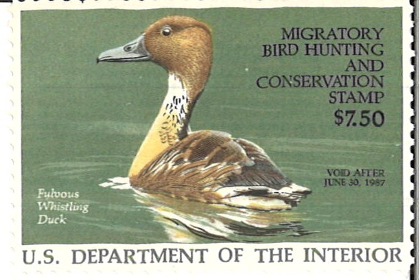 (image for) RW-53 MNH CV$18