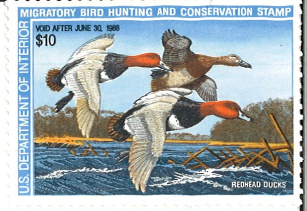 (image for) RW-54 MNH CV $18