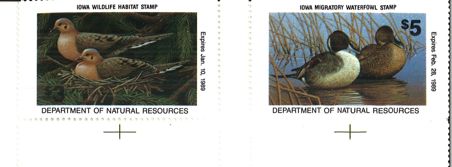 (image for) Iowa Error Wildlife Waterfowl Stamp